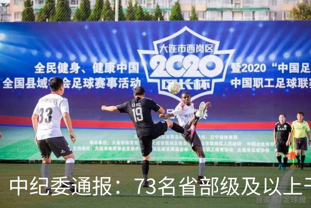 中纪委通报：73名省部级及以上干部被立案