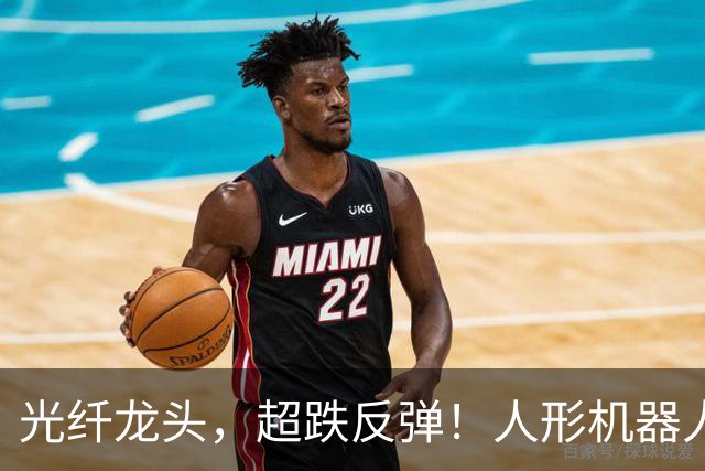 光纤龙头，超跌反弹！人形机器人迎来重磅玩家，5只概念股抢先披露业绩预告