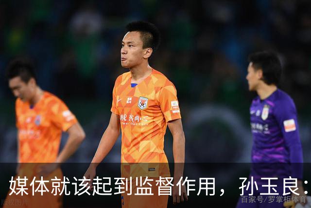 媒体就该起到监督作用，孙玉良：需要唱赞歌，请把这个权利给人民