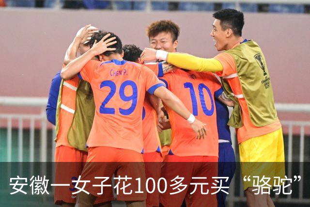 安徽一女子花100多元买“骆驼”冲锋衣，收到货一看，logo竟是一头咧着嘴笑的驴！有人质疑这是擦边，商家：商标已注册，不要只看图片外观