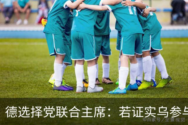 德选择党联合主席：若证实乌参与了北溪管道被炸事件，将面临后果