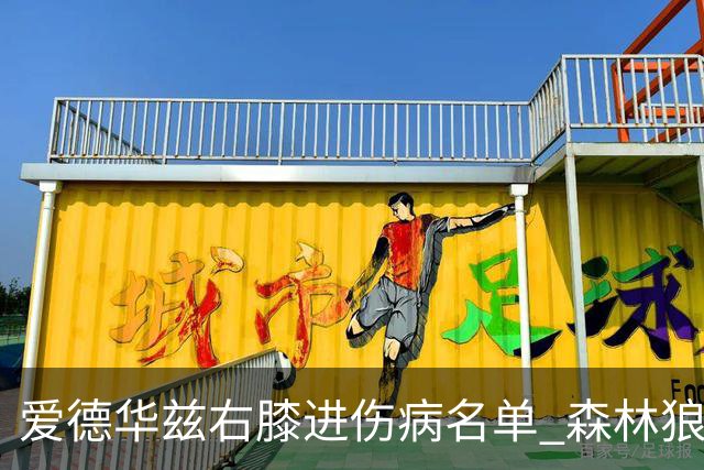 爱德华兹右膝进伤病名单 森林狼战骑士存变数