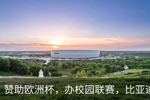 赞助欧洲杯，办校园联赛，比亚迪助力校园足球少年圆梦