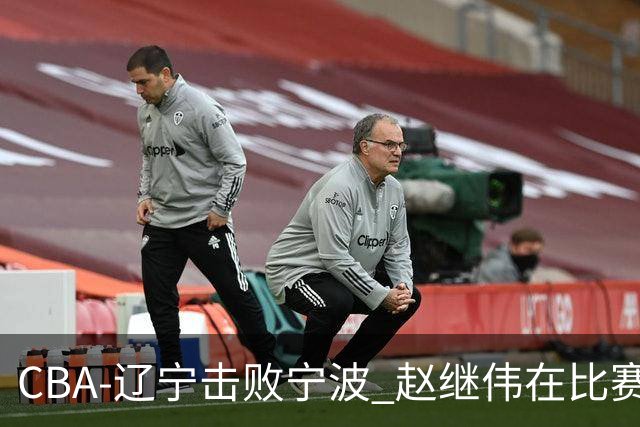 CBA-辽宁击败宁波 赵继伟在比赛中